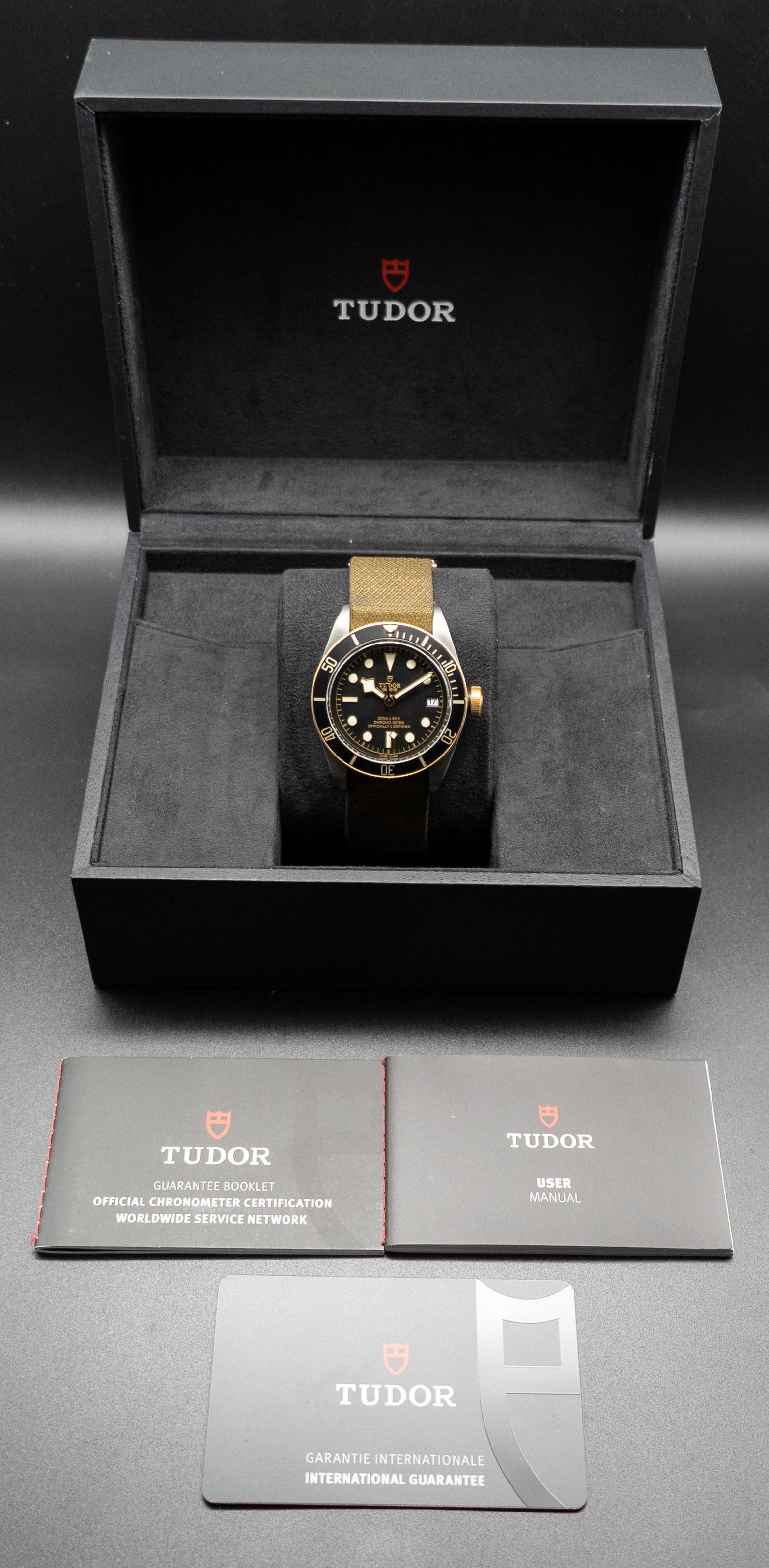 Tudor Black Bay S&G 79733N Complete Set 2022 Box + Papers