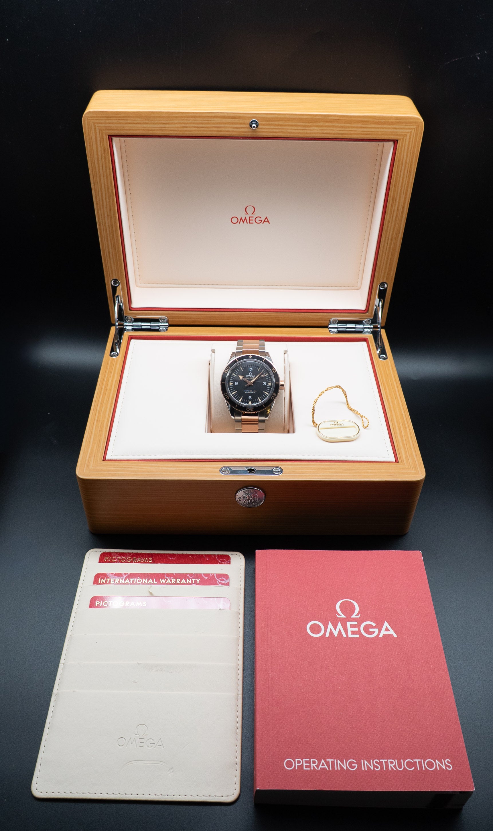 Omega Seamaster 300 233.20.41.21.01.001 FULLSET 2025 Box + PAPERS