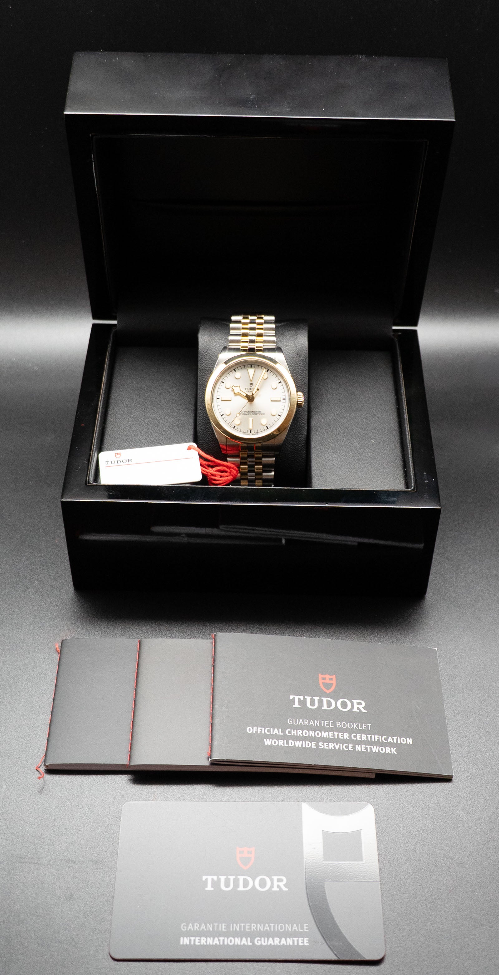 Tudor Black Bay 36 S&G M79643-0002 Silver Dial 2024 Papers