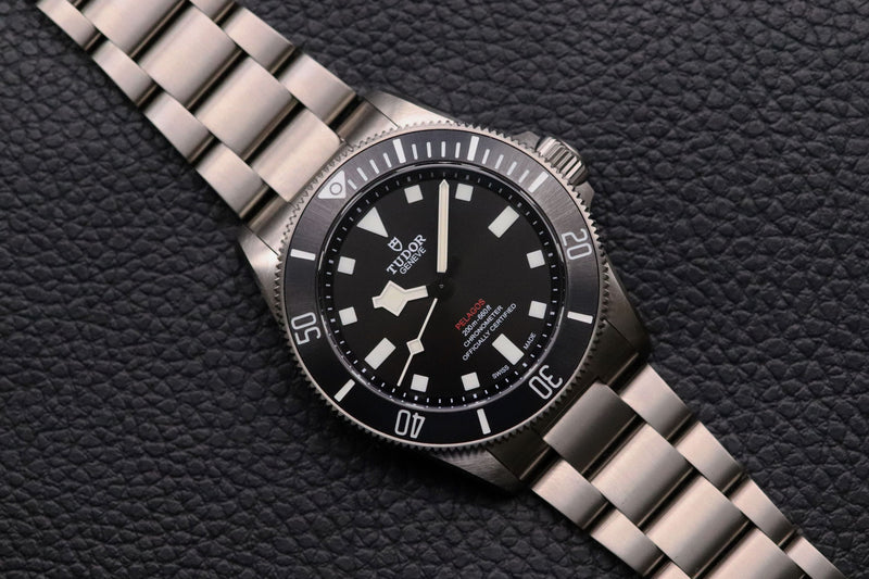 Tudor Pelagos 25407N