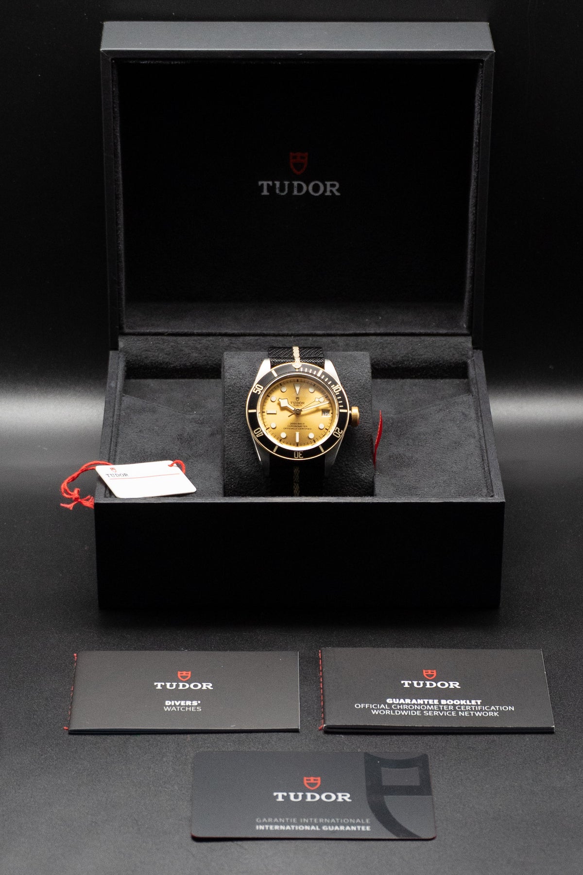 Tudor Black Bay S&G 79733N Fullset 2022 Box+Papers